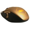 Мышь SteelSeries Gold wow mouse Optical (62240), золотая, оптическая, профессиональная игровая, 11 кнопок, USB, 3600 FPS(Frame Per Sec), (SS Gold wow mouse)