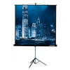 Экран на треноге Lumien 183x244см Master View LMV-100108 4:3 напольный рулонный