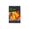 Фотобумага Cactus CS-HGA326020 Professional, суперглянцевая, А3, 260 г/м2, 20 листов