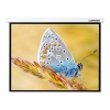 Экран Lumien 229x305см Master Control LMC-100110 4:3 настенно-потолочный рулонный (моторизованный привод)