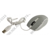 intro Mouse <MU104-Silver>  (RTL) USB 5btn+Roll
