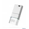 Внешний накопитель 16GB USB Drive <USB 2.0> Leef ICE White (Новогодняя упаковка) (LFICE-016WHR-NY)