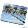 Коврик для мыши Hama H-54730  Palms, толщина 3 мм, ПВХ