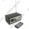 iconBIT <PSS920FLASH> (3W, LCD, USB, MP3, FM, Li-Ion)