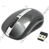 RAPOO Wireless Optical Mouse <6610 Gray> USB 3btn+Roll, беспроводная <12074>