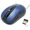 RAPOO Wireless Optical Mouse <1070P-Lite Blue> USB 3btn+Roll, беспроводная <11957>