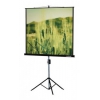 Экран на треноге Lumien 220x165см Master View LMV-100113 4:3 напольный рулонный
