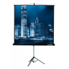 Экран на треноге Lumien 220x220см Master View 1:1 напольный рулонный (LMV-100111)