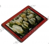 Samsung Galaxy Tab 2 10.1 GT-P5100-16 Garnet Red  1GHz/16Gb/3G/GPS/WiFi/Andr4.0/10.1"/0.59 кг