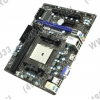 MSI FM2-A55M-E33 (RTL) SocketFM2 <AMD A55>PCI-E+Dsub HDMI+GbLAN SATA RAID  MicroATX 2DDR-III