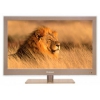 Телевизор LED Rolsen 22" RL-22L1005UBR Bronze HD READY USB MediaPlayer (RUS)