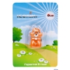 Внешний накопитель 8GB USB Drive <USB 2.0> ICONIK Белка (RB-SQRL-8GB)