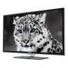 Телевизор LED Irbis 24" T24Q44HAL Black HD READY USB MediaPlayer (RUS)