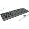 OKLICK Wireless  Keyboard & Optical Mouse <240M> (Кл-ра, USB,FM+Мышь 3кн,  Roll,  USB,  FM)