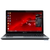 Ноутбук Packard Bell EasyNote ENTE11HC-20204G50Mnks (NX.C1YER.006) Intel 2020M/4G/500G/DVD-SMulti/ 15.6"HD/NV GF GT710M 1G/ WiFi/ cam/ Win8