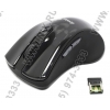 Genius Optical Mouse DX-L8000 (RTL) USB  6btn+Roll (31030059101)
