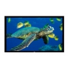 Экран на раме Elite Screen 137.2x243.8см R110WH1 16:9