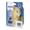 Картридж струйный Epson T0969 C13T09694010 светло-черный (11мл) для Epson St Ph R2880
