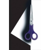 Ножницы Rapesco RLSCRPA3 FROSTED SCISSORS 170мм