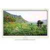 Телевизор LED BBK 29" LEM2995 In`Ergo Narrow frame white HD READY USB MediaPlayer (RUS)