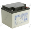 Аккумулятор Ippon IP12-38 (12V, 38Ah)  для UPS