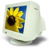 19" MONITOR 0.25 CTX EX951F