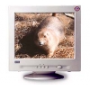 17" MONITOR 0.25 CTX EX710F NATURALFLAT