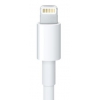 Переходник Apple MD824ZM/A 30-pin (Apple)-Lightning белый 0.2м для Apple iPhone 5/5c/5S для Apple iPad 4/mini/Air (MD824ZM/A)