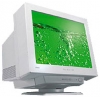 19" MONITOR 0.25 IIYAMA MA901U