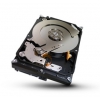 Жесткий диск SATA 1TB 7200RPM 6GB/S 64MB ST1000VX000 Seagate
