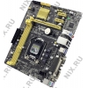 ASUS H81M-D (RTL) LGA1150 <H81> PCI-E Dsub+DVI GbLAN SATA  MicroATX 2DDR-III