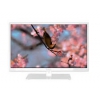 Телевизор LED Rubin 32" RB-32SE5WH ultra slim white HD READY USB MediaPlayer (RUS)