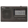Радиоприемник портативный Ritmix RPR-4010 черный