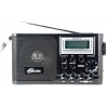 Радиоприемник Ritmix RPR-1380 Черный