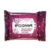 Салфетки Ecomir (24227), Влажные салфетки для компьютеров и оргтехники (40 шт.), в мягкой упаковке (мин.кол.5)