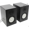 Студийные мониторы Axelvox <PM-5A>  (2х75W, дерево)