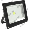 X-Flash <XF-FL-B-50W-6500K> (4350 люмен, 6500К, 50Вт, 85-265В,  1953г) <45266>