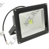 X-Flash <XF-FL-B-30W-6500K> (2610 люмен, 6500К, 30Вт, 85-254В,  1332г) <45259>