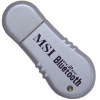 MICRO-STAR <BTOES> BLUETOOTH USB DONGLE (CLASS I)