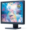 20.1"    MONITOR NEC 2060NX-BK <BLACK> (LCD, 1600X1200,+DVI)