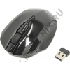 CANYON Wireless Optical Mouse <CNR-FMSOW01>  (RTL) USB 3btn+Roll