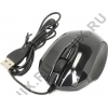 CANYON Optical Mouse <CNR-FMSO01> (RTL)  USB 3btn+Roll