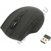 CANYON Wireless Optical Mouse <CNL-MBMSOW02>  (RTL)  USB  6btn+Roll
