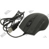 CANYON Optical Mouse <CNL-MBMSO02> (RTL)  USB 6btn+Roll