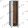NT  PRACTIC 2 MG22-610 G Шкаф 19" напольный 22U 600*1000, дверь со стеклом,  серый (3ч)