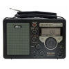 Радиоприемник портативный Ritmix RPR-7050 черный (15114549)
