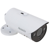 IP-камера Falcon Eye FE-IPC-BL200PV 2 мегапиксельная уличная, H.264, протокол ONVIF, разрешение 1080P, матрица 1/2.8" SONY 2.43 Mega pixels CMOS, чувс
