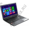 Acer Aspire E5-521-83RU <NX.MLFER.014> A8  6410/4/500/DVD-RW/WiFi/BT/Win8/15.6"/2.29 кг
