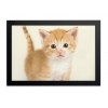 Магнитная рамка Durable FOTOFRAME 10x15 4885-01 настенная прямоугольная черный (488501)