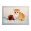 Магнитная рамка Durable FOTOFRAME 10x15 4885-23 настенная прямоугольная серебристый (488523)